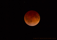 © Matt Nicholson 2014

Complete Lunar Eclipse, April 15th, 2014
