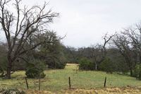 © Matt Nicholson 2014

Possum Kingdom area recovering from the previous years wildfires. 