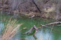 © Matt Nicholson 2014

They claimed the fish were biting...

 Fort Richardson, Jacksboro, TX