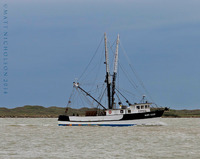 © Matt Nicholson 2014

South Padre Island, Texas