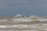 © Matt Nicholson 2014

South Padre Island, Texas