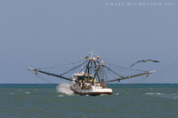 © Matt Nicholson 2014

South Padre Island, Texas