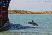 © Matt Nicholson 2014

South Padre Island, Texas