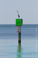 © Matt Nicholson 2014

South Padre Island, Texas