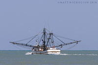 © Matt Nicholson 2014

South Padre Island, Texas