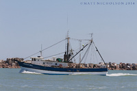 © Matt Nicholson 2014

South Padre Island, Texas