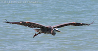 © Matt Nicholson 2014

South Padre Island, Texas