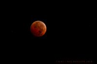 Second "Blood Moon" of 2014.

© Matt Nicholson 2014