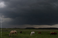 © Matt Nicholson 2015

South of Stephenville, TX 4-26-15