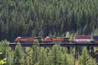 Trestle near the "Goat Lick"